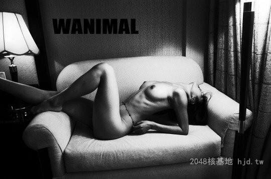 王动WANIMAL作品338[20p]第0页 作者:Publisher 帖子ID:284420 TAG:日本图片,亞洲激情,2048核基地