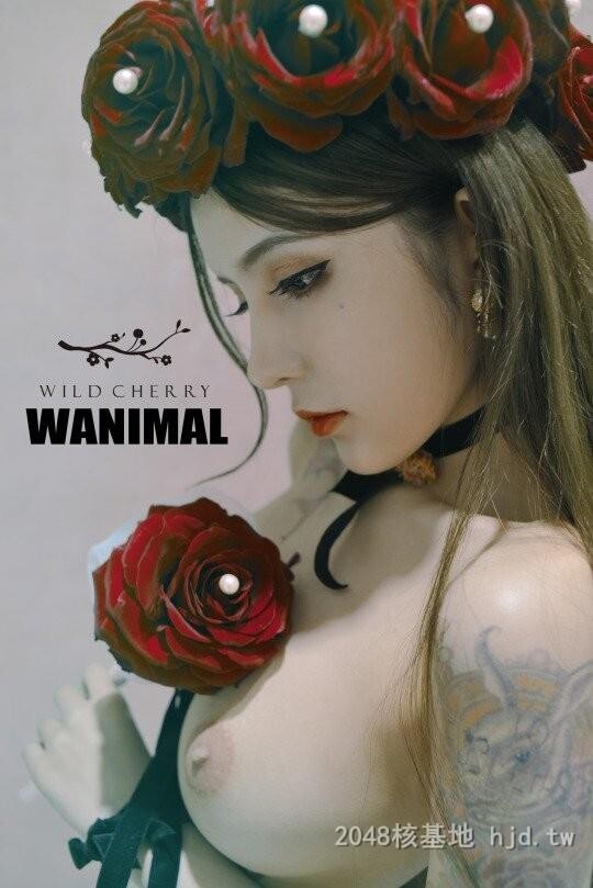 王动WANIMAL作品346[20p]第0页 作者:Publisher 帖子ID:284852 TAG:日本图片,亞洲激情,2048核基地